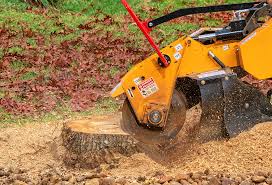 Lawn Irrigation Installation and Maintenance in Westwood, CA